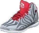 Adidas D Rose 45