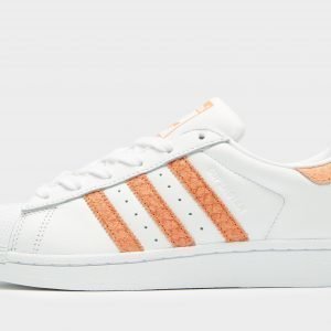 Adidas Originals Superstar Valkoinen