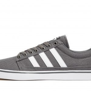 Adidas Skateboarding Rayado Lo Harmaa