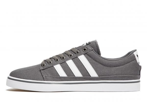 Adidas Skateboarding Rayado Lo Harmaa