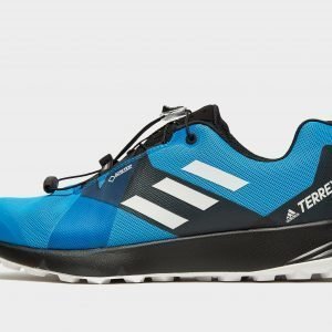 Adidas Terrex 2 Gtx Sininen