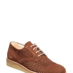 Angulus Shoes Flat With Lace