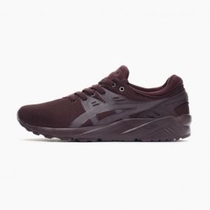 Asics Gel-Kayano Trainer Evo