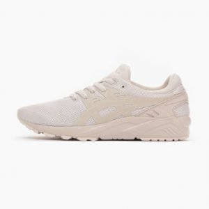 Asics Gel-Kayano Trainer Evo