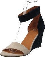 Billi Bi 11752 Beige Suede Navy