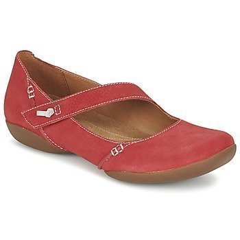 Clarks FELICIA PLUM ballerinat