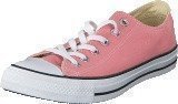 Converse All Star-Ox Daybreak Pink/White/Black