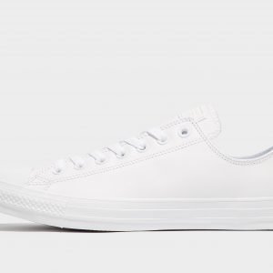 Converse All Star Ox Leather Mono Valkoinen