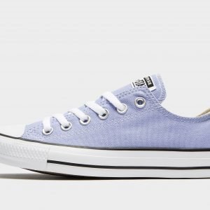 Converse All Star Ox Violetti