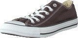 Converse All Star Seasonal Ox Burnt Umber