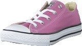 Converse All Star Seasonal-Ox Powder Purple