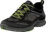 Ecco Biom Ultra Black