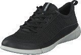 Ecco Intrinsic 1 Women Black