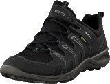 Ecco Terracruise Black