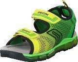 Geox Sandal Android Boy Lime Green