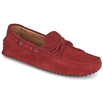 Hackett MOCCASSINS BOW kävelykengät