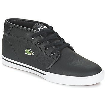 Lacoste AMPTHILL LCR3 matalavartiset tennarit