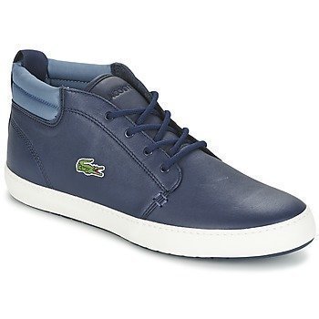 Lacoste AMPTHILL TERRA 316 1 matalavartiset tennarit