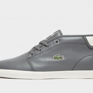 Lacoste Ampthill Harmaa