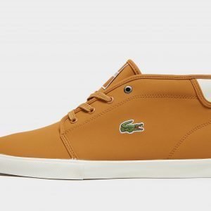 Lacoste Ampthill Tan