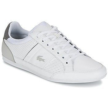 Lacoste CHAYMON 316 1 matalavartiset tennarit