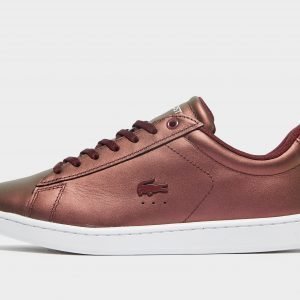 Lacoste Carnaby Evo Burgundy / Multi