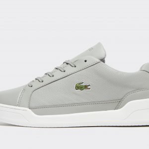 Lacoste Challenge Harmaa