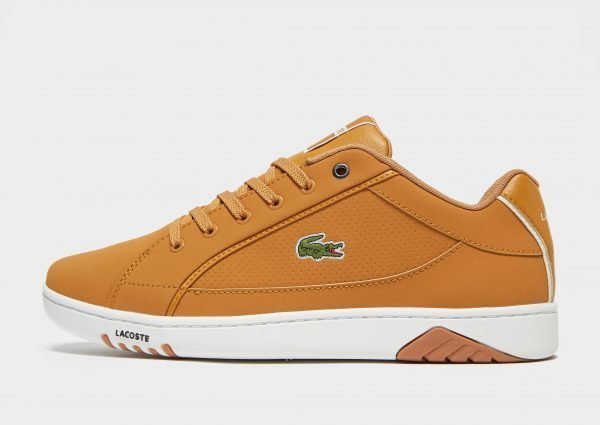 Lacoste Deviation Ii Ruskea