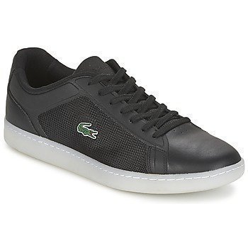 Lacoste ENDLINER 416 1 matalavartiset tennarit