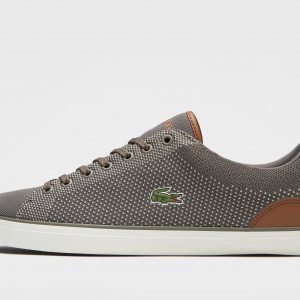 Lacoste Lerond Ruskea