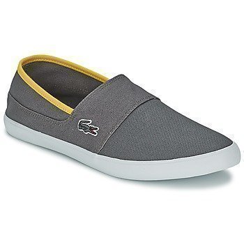 Lacoste MARICE 116 1 tennarit