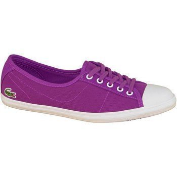 Lacoste Ziane Cre 25SPJ3203PP2 matalavartiset tennarit