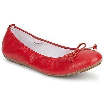 Mac Douglas ELIANE ballerinat