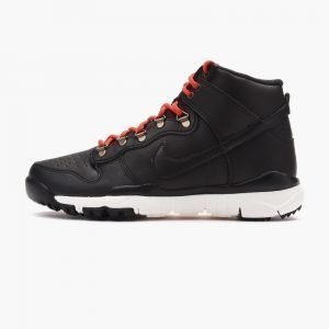 Nike SB Dunk High Boot