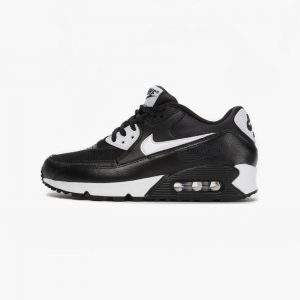 Nike Wmns Air Max 90 Essential