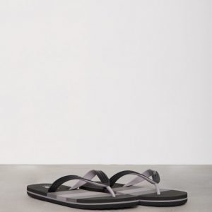 Polo Ralph Lauren Whitlebury II Sandals Sandaalit Musta