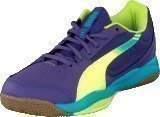 Puma Evospeed Indoor 5.3 Prism Viol