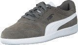 Puma Icra Trainer SD Steel Gray-White