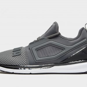 Puma Ignite Limitless 2 Harmaa