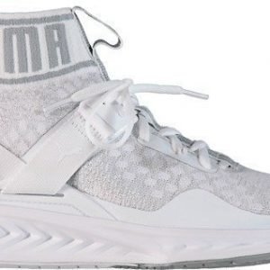 Puma M Ignite Evoknit tennarit