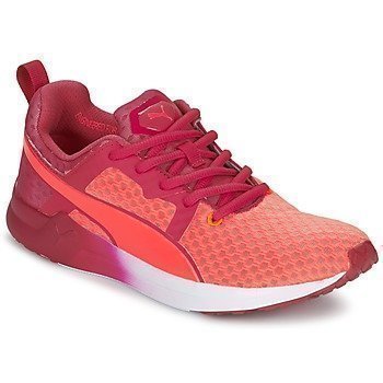 Puma PULSE XT CORE WNS matalavartiset tennarit