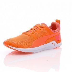 Puma Pulse Xt 3-D New Treenikengät Oranssi