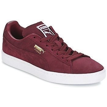 Puma SUEDE CLASSIC + matalavartiset tennarit