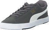 Puma Suede S Steel Gray-White-New Gold