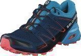 Salomon Speedcross Vario GTX® W Slateblue/Blue