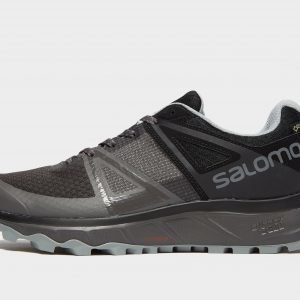 Salomon Trailster Gtx Harmaa