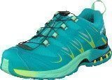 Salomon XA PRO 3D GTX® W 10-YR LTD Real Blue/ Lucite Green