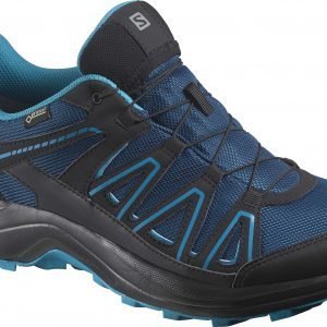 Salomon Xa Centor Gore Tex Kengät Sininen