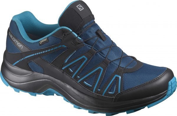 Salomon Xa Centor Gore Tex Kengät Sininen