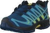 Salomon Xa Pro 3D CSWP J Midnbl/Blue Gum